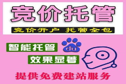 百度竞价排名服务在金融行业的推广策略